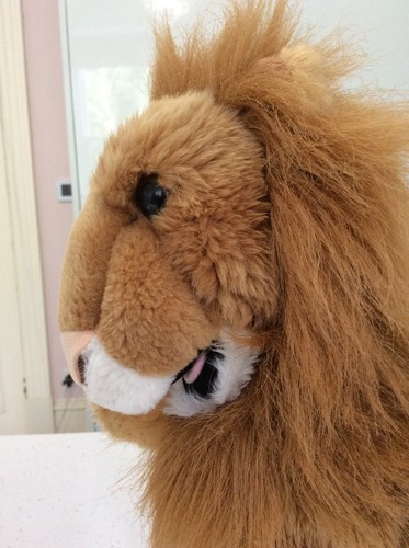 Large ferocious lion - large, long