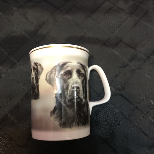 Black labrador cup - black,