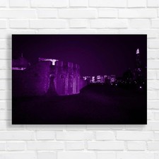 Tower Bridge London Poppies By