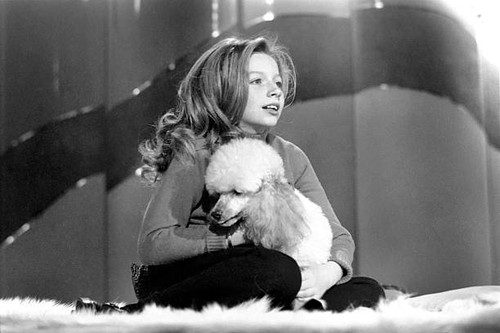 Lena zavaroni yrs old has - 10,