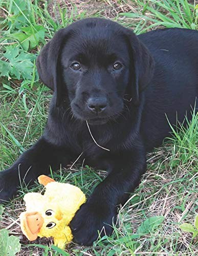 Black labrador puppy notebook - black,