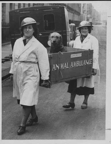 Workers with the national - workers,