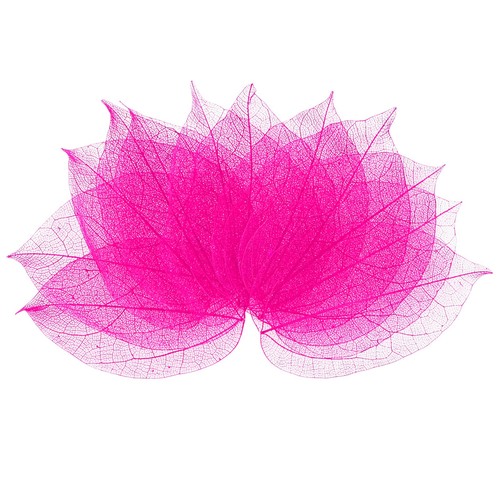 100 pack skeleton leaves - skeleton,