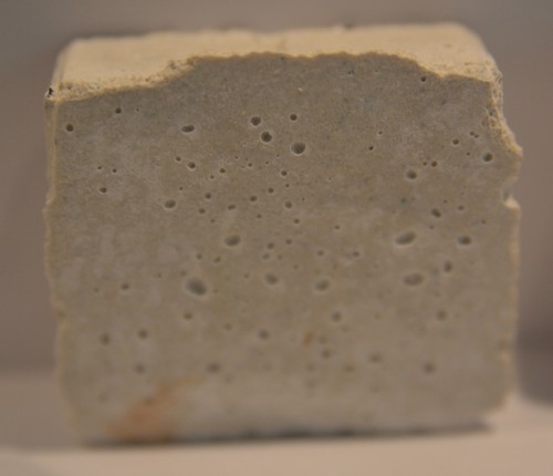 Aragonite coral frag tile 1 - frag,