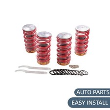 Shock Absorber Springs
