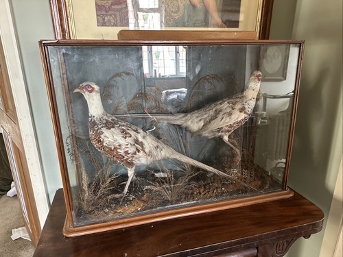 Antique pair white - antique, of