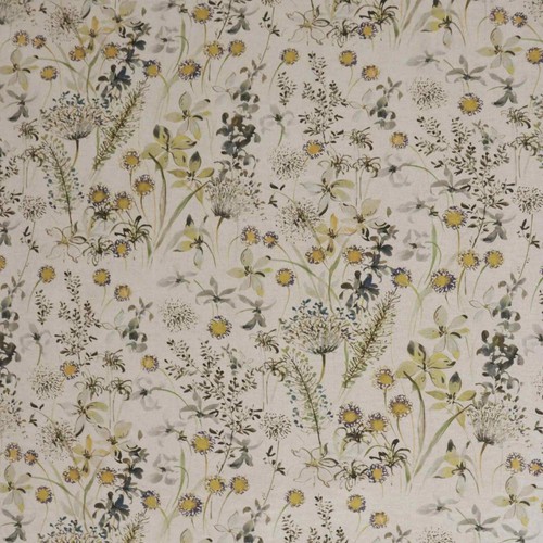 The meadow yellow french - the,