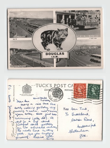 Postcard douglas isle of - postcard,