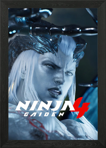 Ninja gaiden game cover - 4,