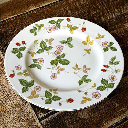Wedgwood dinner plate - wedgwood, wild