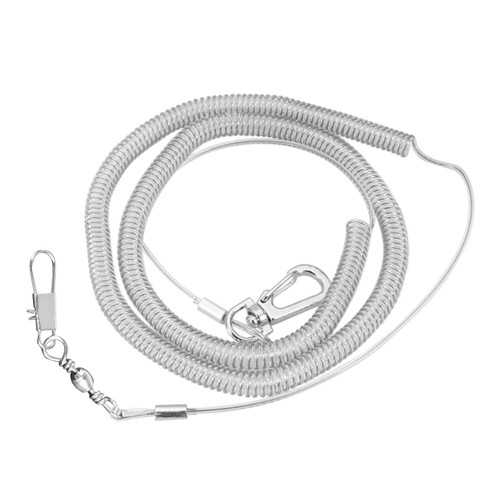 Parrot bird harness leash - parrot,