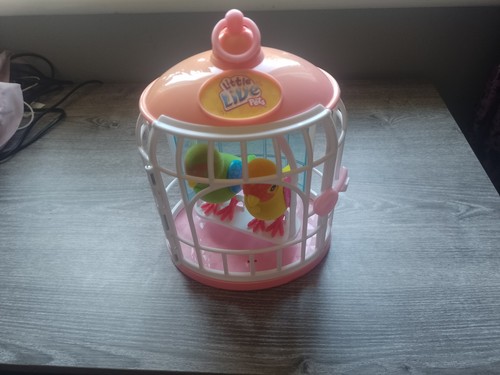 Little live pets talking birds - talking,