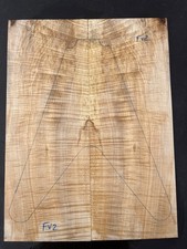 CURLY SYCAMORE MAPLE Flying V