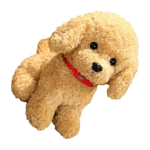 Delicate doll poodle stuffed - delicate,