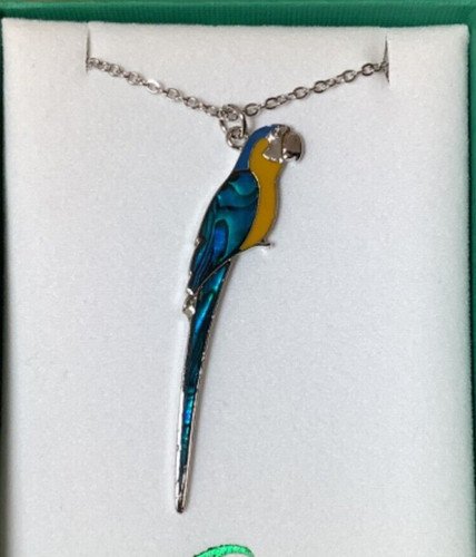 Macaw inlaid paua shell - macaw,