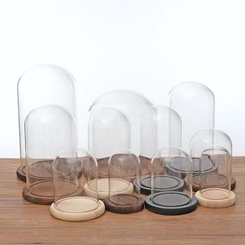 Glass dome cloche with - cloche,