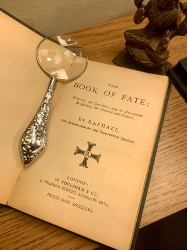 Raphael the book - the,