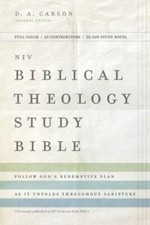 NIV, Biblical Theology Study