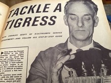 BSA SUNBEAM TRIUMPH TIGRESS BSA 250cc SCOOTER STRIP MOTORCYCLE ARTICLE last one