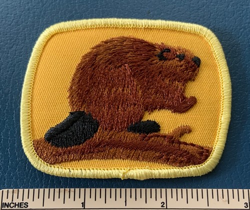 Vintage boy scouts canada - boy,