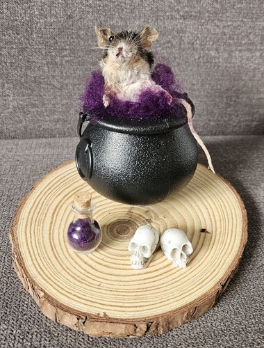 Bad taxidermy mouse a - bad,