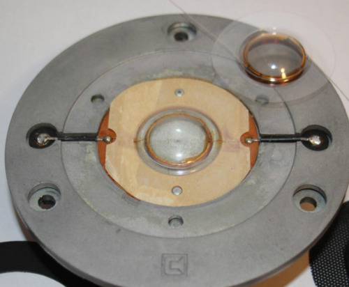 Replacement diaphragm for - diaphragm,