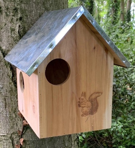 Wooden squirrel nest box house - wooden,