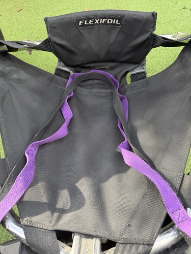 Flexfoil kite buggy - flexfoil,