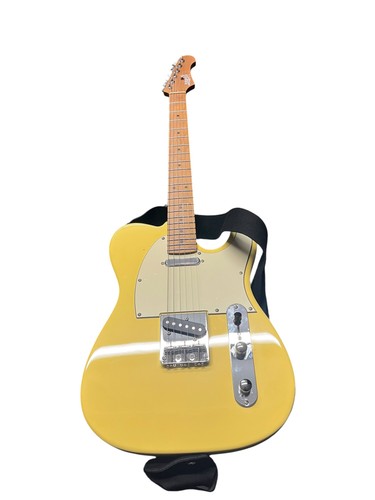 Jet guitars 300 roasted - guitars,