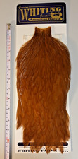 Whiting American Rooster Cape