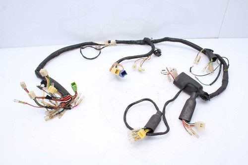 Wiring harness main - ,