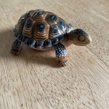 Wade Whimsy Tortoise Trinket