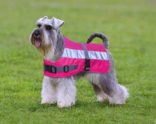 Petlife Flecta Hi-vis Dog