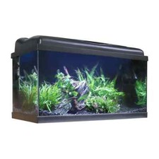 Aquarium Kit 60cm Tropical LED