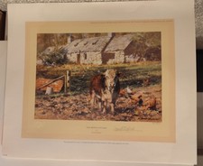 "OLD BEN'S COTTAGE" Limited Edition (721/1500) signed print by David Shepherd 