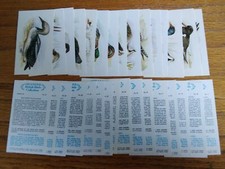 Players Grandee cigar trade cards: British Birds complete full set loose