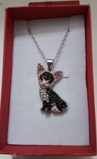 Beautiful Crystal Chihuahua