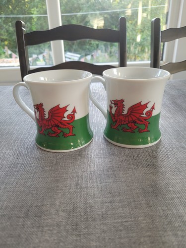 Welsh dragon superior fine - dragon,