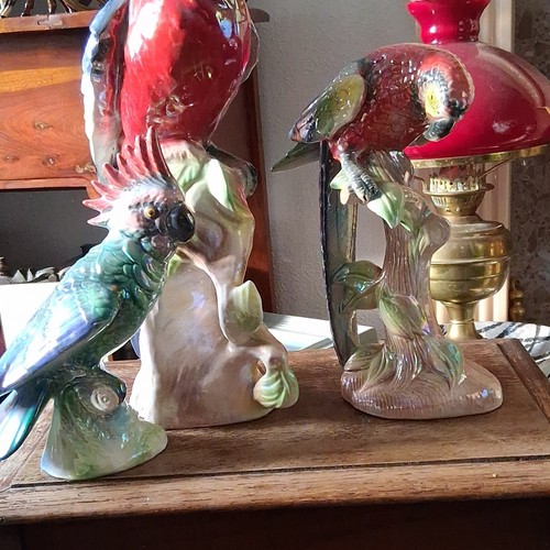 Multicolour ceramic parrot - ceramic,