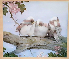 DETMOLD LONG TAILED TIT Print C1915 Bird Birds Chick