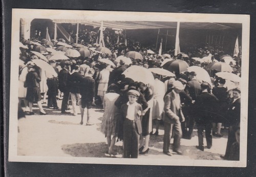 Photo postcard cossato - postcard,