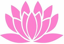  Lotus Flower Window Wall