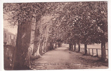 An Early Frith's Post Card of Totnes, The Walk to the Dart Steam Boat. Devon