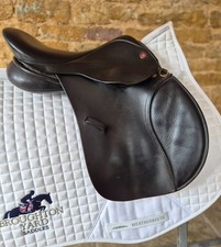 15" Jeffries Falcon Pony