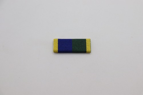 Efficiency medal full size - medal,