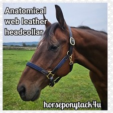 SALE TO CLEAR TRADITIONAL WEB