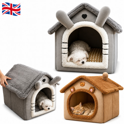 Large pet cat kitten dog - large,