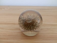 Midton Crafts Ltd Scotland Lucite Paperweight