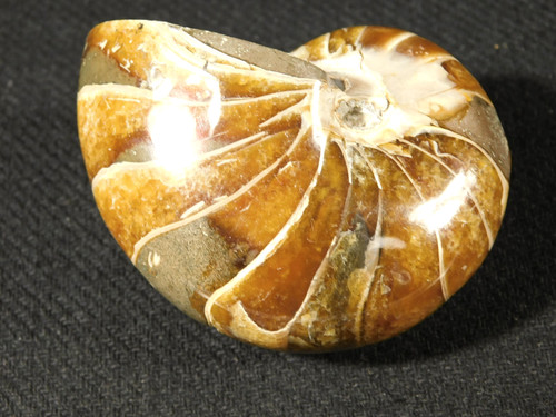 Larger 100 natural - 100%, polished