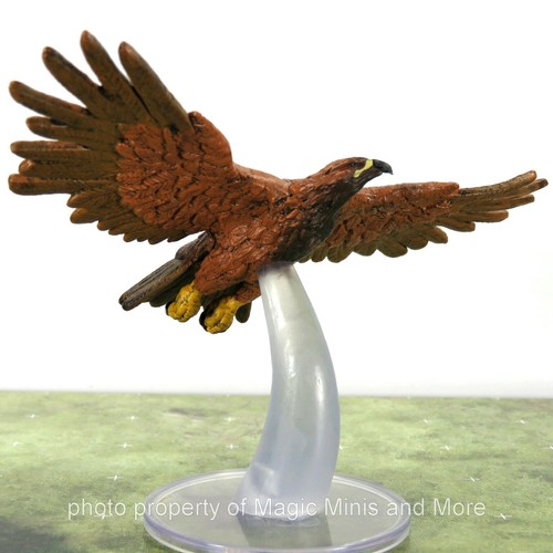 Wild shape polymorph - ~, giant